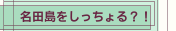 名田島をしっちょる？！